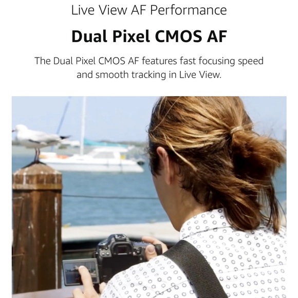 Canon 80D 18-135mm lens - Picture 14 of 14